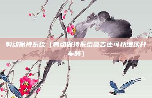 制动保持系统(制动保持系统警告还可以继续开车吗)