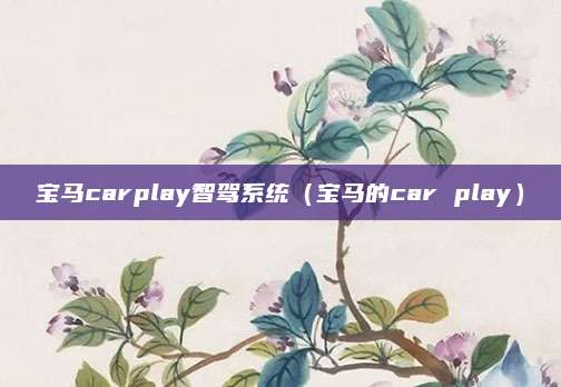 宝马carplay智驾系统(宝马的car play)