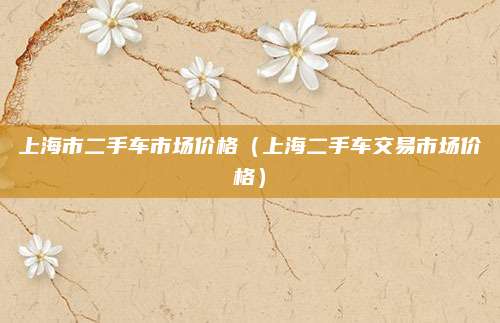 上海市二手车市场价格(上海二手车交易市场价格)