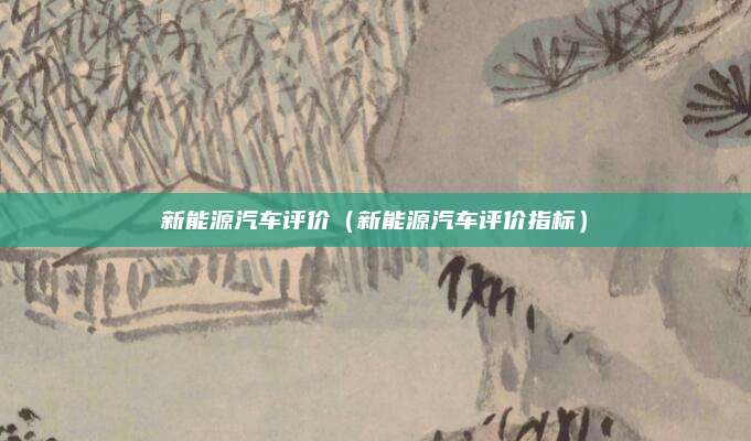 新能源汽车评价(新能源汽车评价指标)