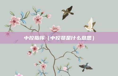 中控指挥(中控员是什么意思)
