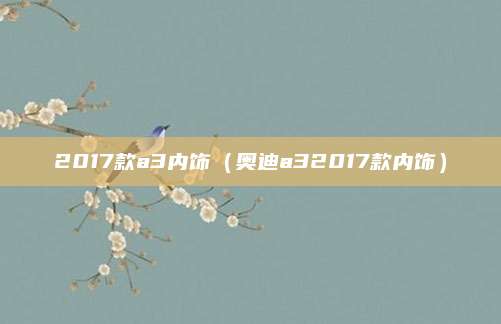 2017款a3内饰(奥迪a32017款内饰)