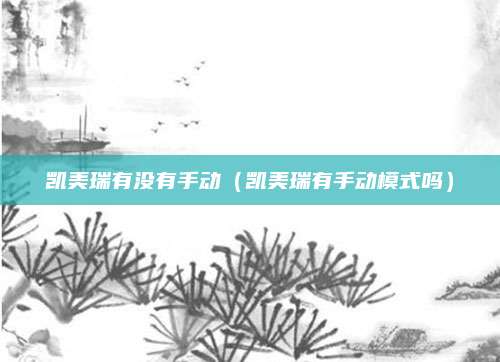 凯美瑞有没有手动(凯美瑞有手动模式吗)