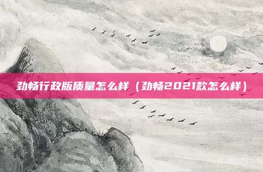 劲畅行政版质量怎么样(劲畅2021款怎么样)