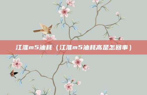 江淮m5油耗(江淮m5油耗高是怎回事)