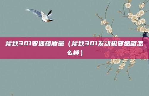 标致301变速箱质量(标致301发动机变速箱怎么样)