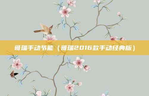 哥瑞手动节能（哥瑞2016款手动经典版）