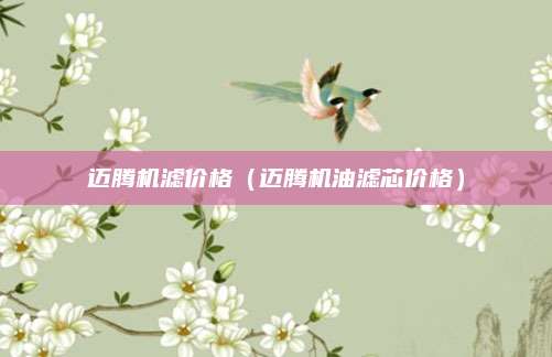 迈腾机滤价格(迈腾机油滤芯价格)