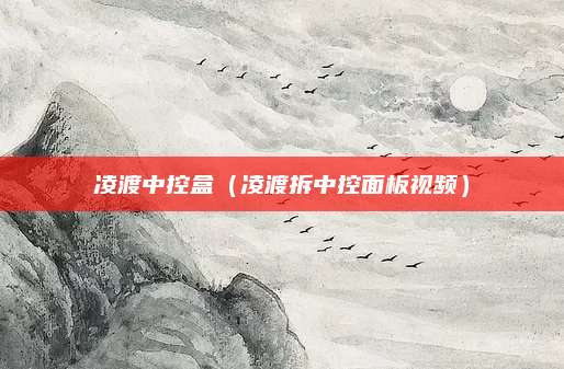 凌渡中控盒（凌渡拆中控面板视频）