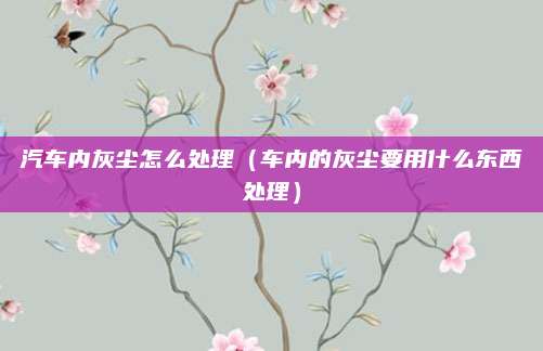 汽车内灰尘怎么处理（车内的灰尘要用什么东西处理）