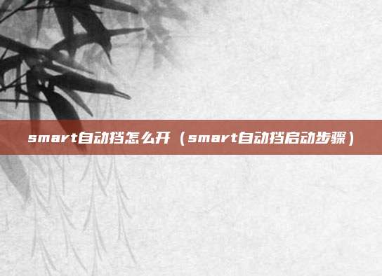 smart自动挡怎么开(smart自动挡启动步骤)