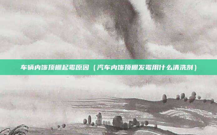 车辆内饰顶棚起霉原因(汽车内饰顶棚发霉用什么清洗剂)