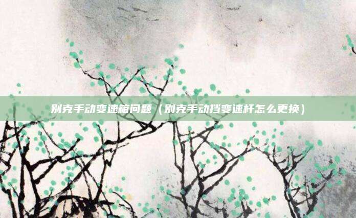 别克手动变速箱问题(别克手动挡变速杆怎么更换)