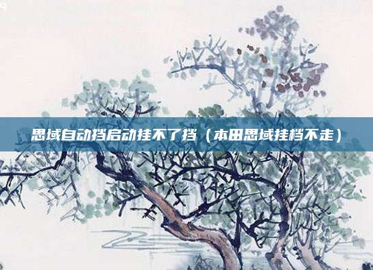 思域自动挡启动挂不了挡(本田思域挂档不走)