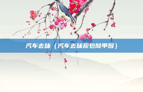 汽车去味(汽车去味炭包除甲醛)