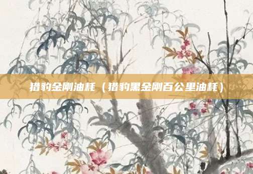 猎豹金刚油耗(猎豹黑金刚百公里油耗)