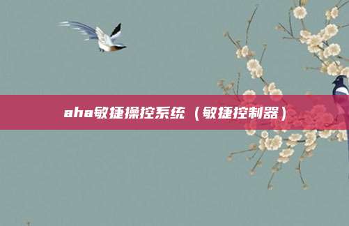 aha敏捷操控系统(敏捷控制器)