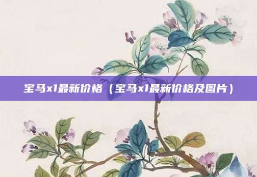 宝马x1最新价格(宝马x1最新价格及图片)