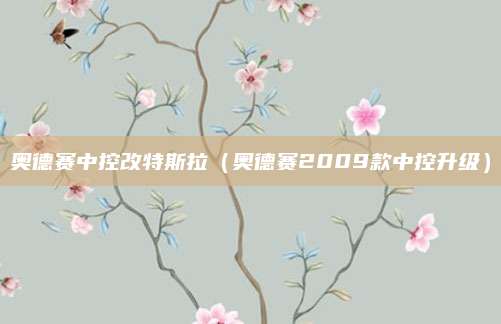奥德赛中控改特斯拉(奥德赛2009款中控升级)
