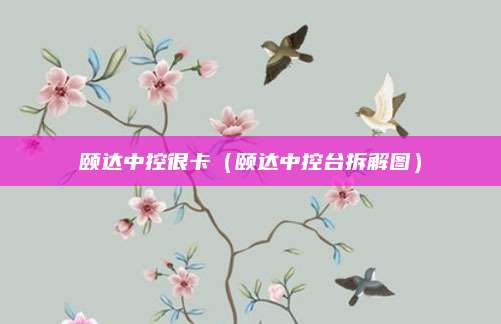 颐达中控很卡(颐达中控台拆解图)