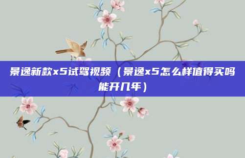景逸新款x5试驾视频(景逸x5怎么样值得买吗能开几年)