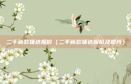 二手新款捷达报价(二手新款捷达报价及图片)