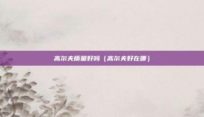 高尔夫质量好吗（高尔夫好在哪）