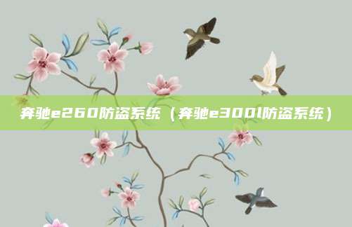 奔驰e260防盗系统(奔驰e300l防盗系统)