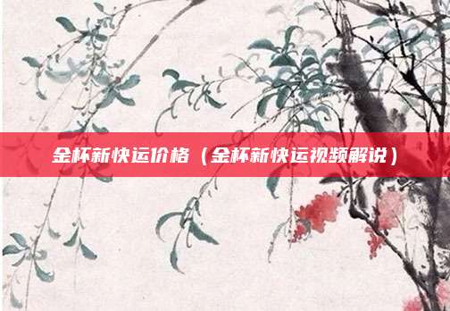 金杯新快运价格(金杯新快运视频解说)