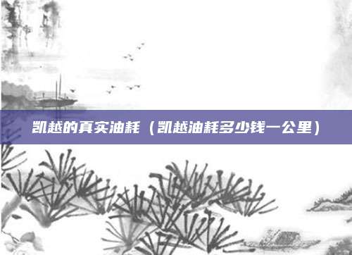 凯越的真实油耗(凯越油耗多少钱一公里)