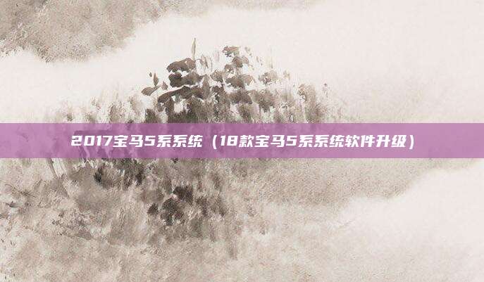 2017宝马5系系统(18款宝马5系系统软件升级)