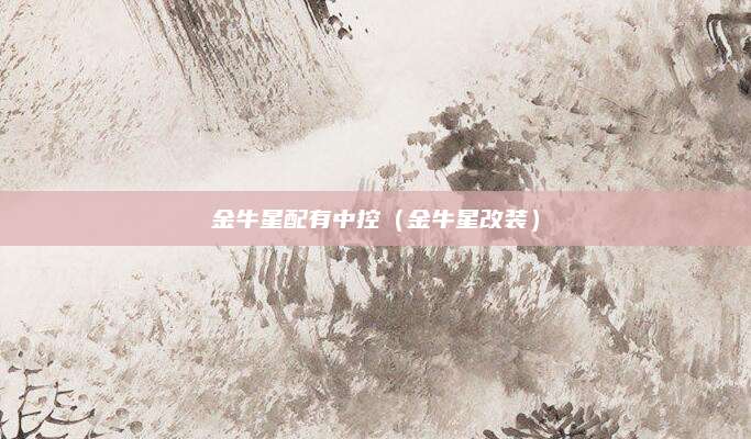 金牛星配有中控(金牛星改装)