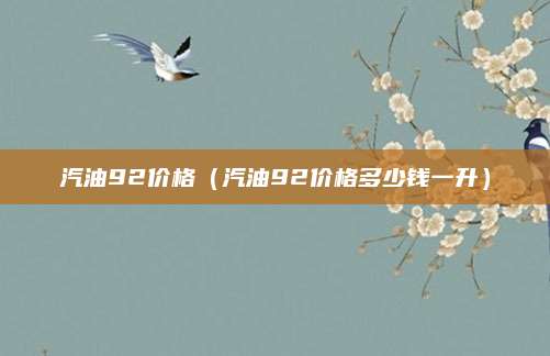 汽油92价格(汽油92价格多少钱一升)