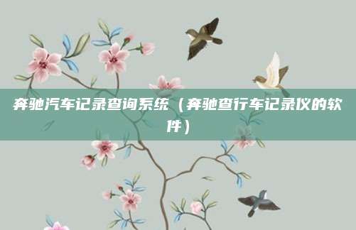 奔驰汽车记录查询系统(奔驰查行车记录仪的软件)