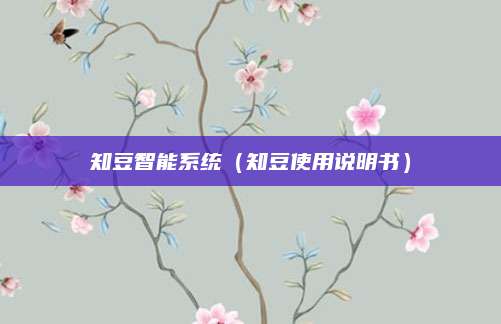 知豆智能系统(知豆使用说明书)