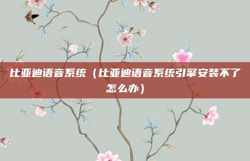比亚迪语音系统(比亚迪语音系统引擎安装不了怎么办)