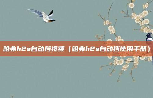 哈弗h2s自动挡视频(哈弗h2s自动挡使用手册)