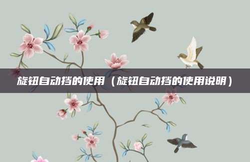 旋钮自动挡的使用(旋钮自动挡的使用说明)