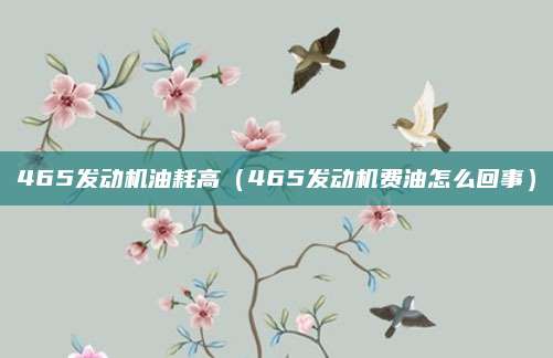 465发动机油耗高(465发动机费油怎么回事)