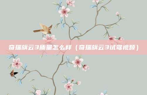 奇瑞旗云3质量怎么样(奇瑞旗云3试驾视频)