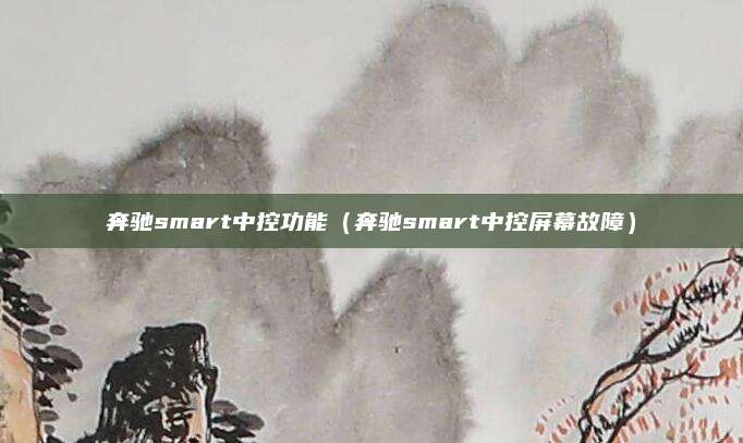奔驰smart中控功能(奔驰smart中控屏幕故障)