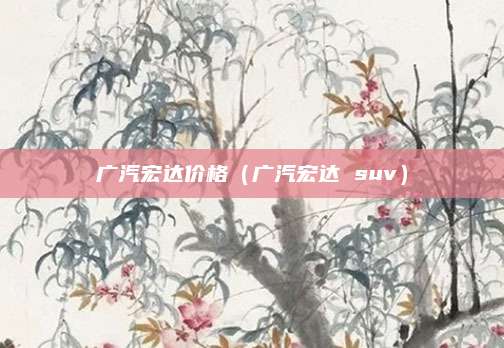 广汽宏达价格（广汽宏达 suv）