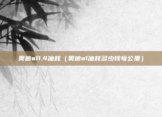 奥迪a11.4油耗(奥迪a1油耗多少钱每公里)