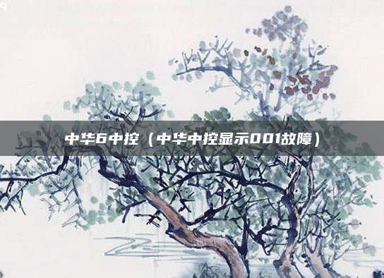 中华6中控(中华中控显示001故障)