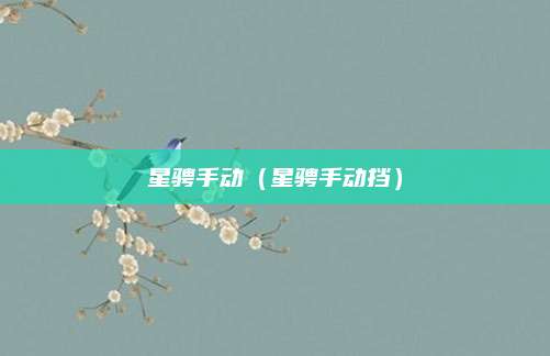 星骋手动(星骋手动挡)