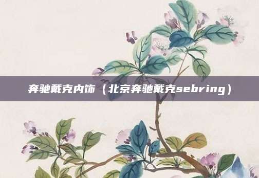 奔驰戴克内饰(北京奔驰戴克sebring)