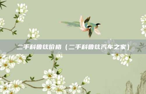 二手科鲁兹价格(二手科鲁兹汽车之家)