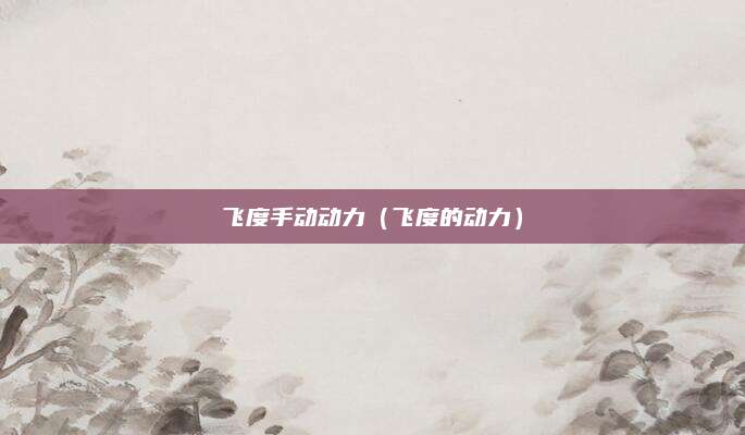 飞度手动动力(飞度的动力)