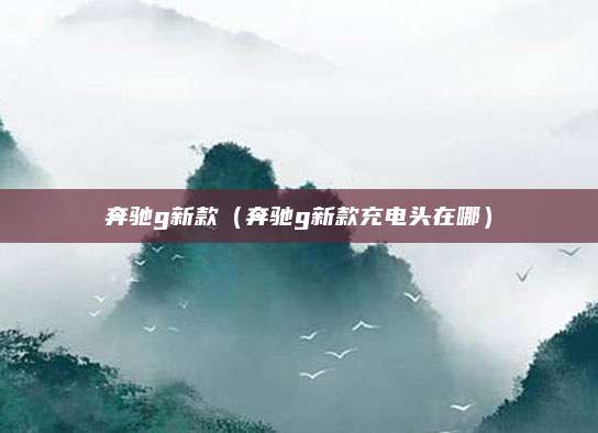 奔驰g新款(奔驰g新款充电头在哪)