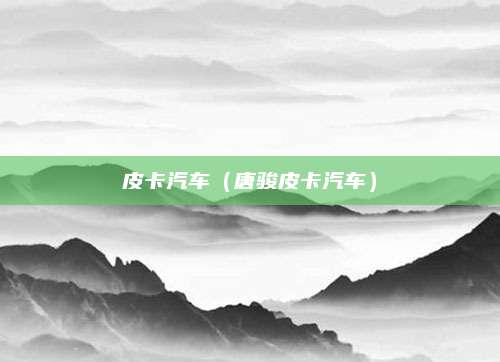 皮卡汽车(唐骏皮卡汽车)